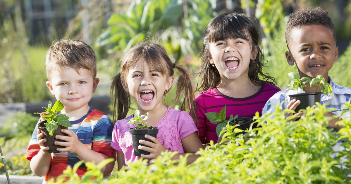Mein kleiner schöner Garten Schulgartenaktion 2024 Gemeinsam wachsen